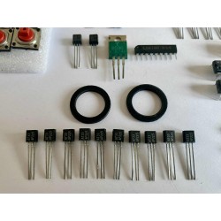 Rare SANYO 2SC536F kit for RE-303 / X0XB0X