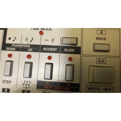 Roland TB-303 Switch Panel Replacement – Silver & Black | Restoration