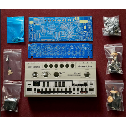 Dinsync  RE-303 Kit + Replica TB-303 case