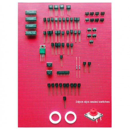 1981 Rare Parts Kit for RE-303 – Authentic NOS Transistors and ICs